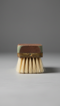 Heavy-Duty Scrub Brush With Ergonomic Grip